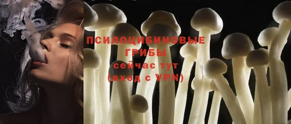 spice Абаза