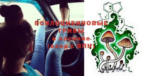 spice Абаза