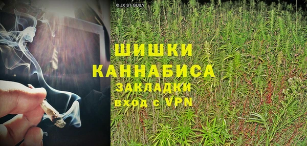 spice Сосновый Бор