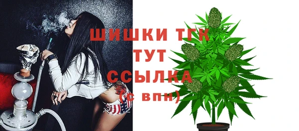 spice Абаза