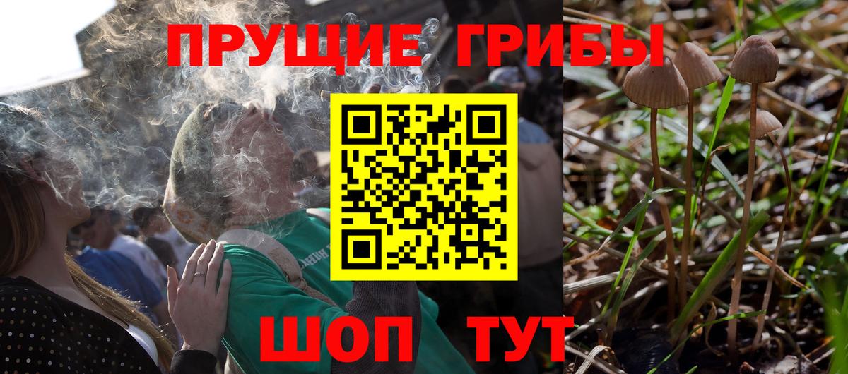 Псилоцибиновые грибы ЛСД  Галлюциногенные грибы Magic Shrooms  Вход с VPN  Кудымкар 